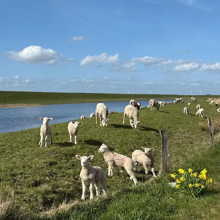 Gaststaette Bongsiel 'dat Swarte Peerd' Ockholm
